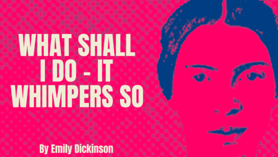 "What shall I do it whimpers so
  This little Hound within the Heart"
#emilydickinson #dickinson #poetryreading #poetrylovers #poetrycommunity #poetrytwitter #poetry 

youtu.be/e9BEYQ_Ze_4