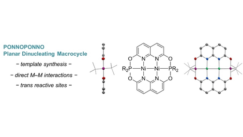 ChemEurJ's tweet photo. Bimetallic Nickel Complexes Supported by a Planar Macrocyclic Diphosphoranide Ligand (Coote, Colebatch et al.) @AnnieColebatch @AndieDelaney @ANUChemistry https://t.co/DFJHtfV9Mj https://t.co/KjSGR3in93