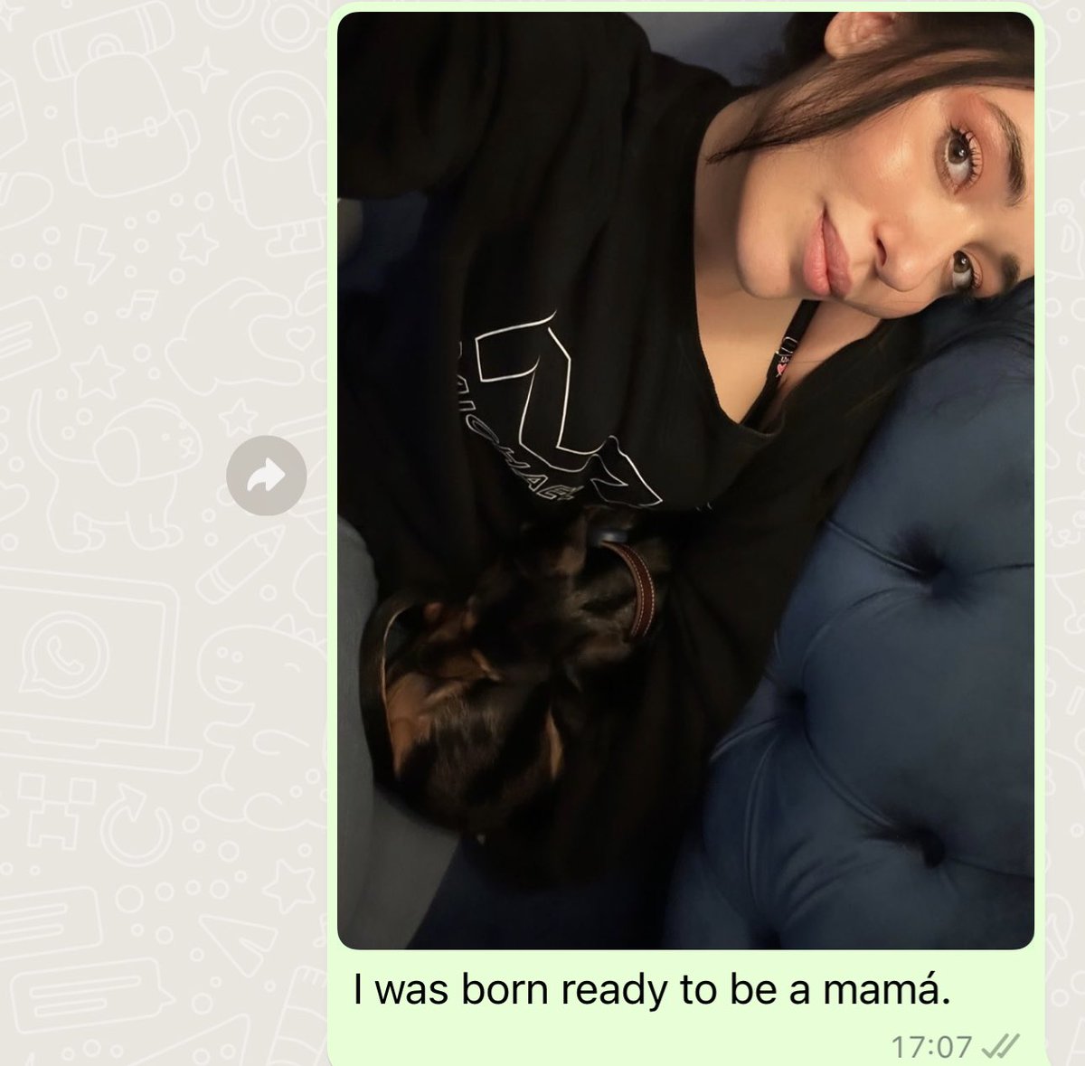 Ada Lluch 🇪🇸 on Twitter: "This little angel loves to fall asleep on my