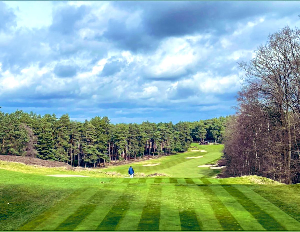 Incredible condition for early March 😍😍😍 #SunningdaleFoursomes
