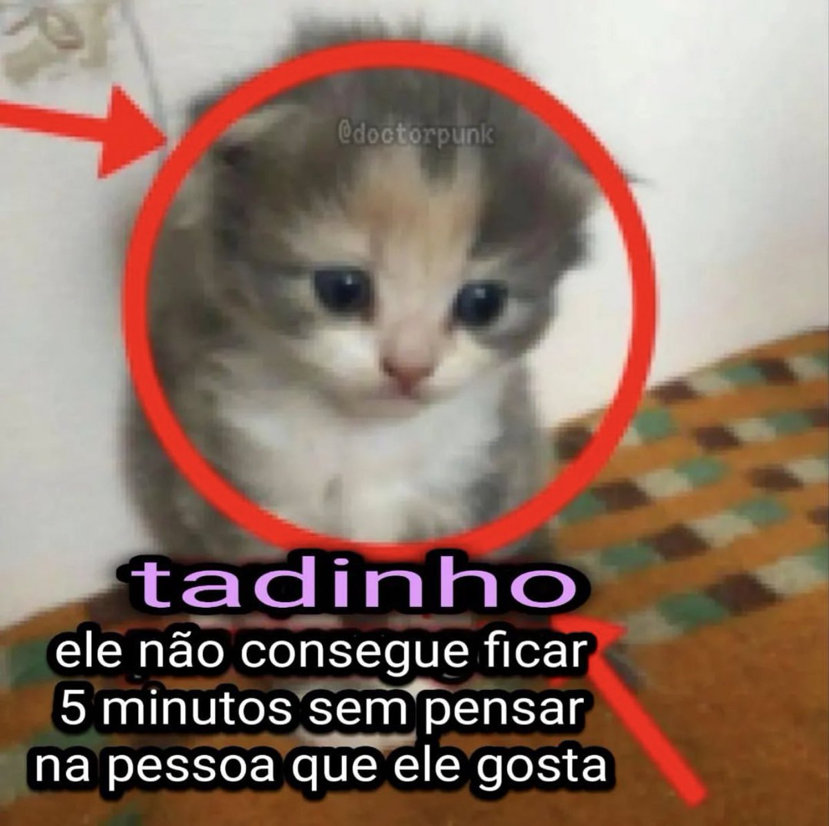 Memes para marcar ele(a) tweet media