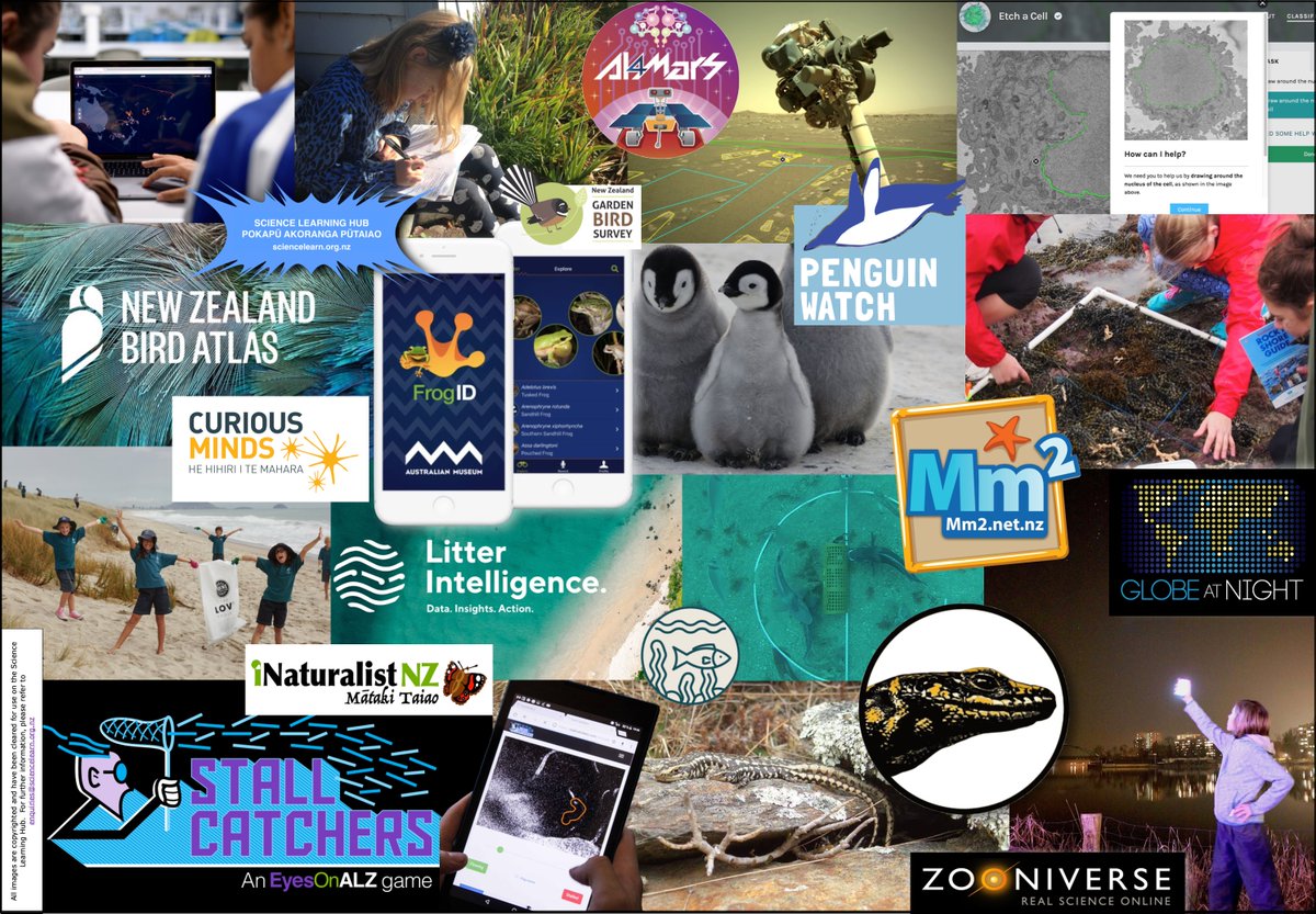 Primary Science Week is Week 2 Term 2 8-12th May and the theme is #citizenscience 
The Hub has a range of projects showcased here: bit.ly/2IavlP8 #citsci <a href="/NZScienceTeachr/">NZASE</a>
