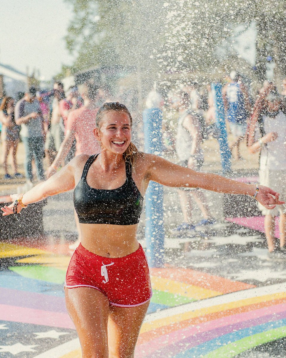 Bonnaroo tweet media
