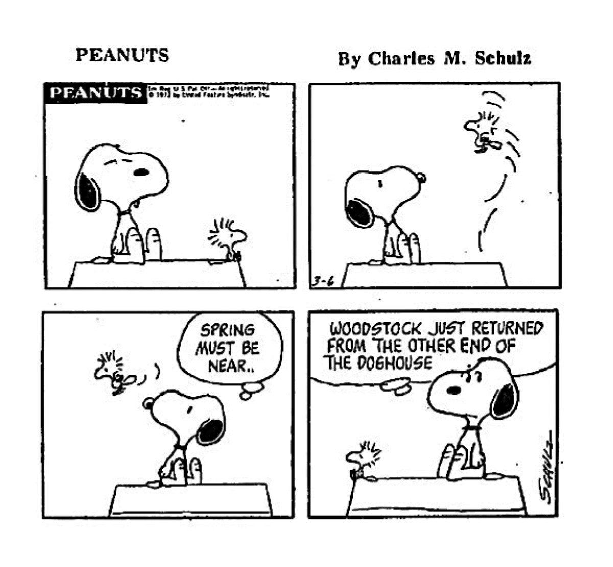 RetroNewsNow on Twitter "🗞 ‘Peanuts’ Comic Strip (March 6, 1972)"