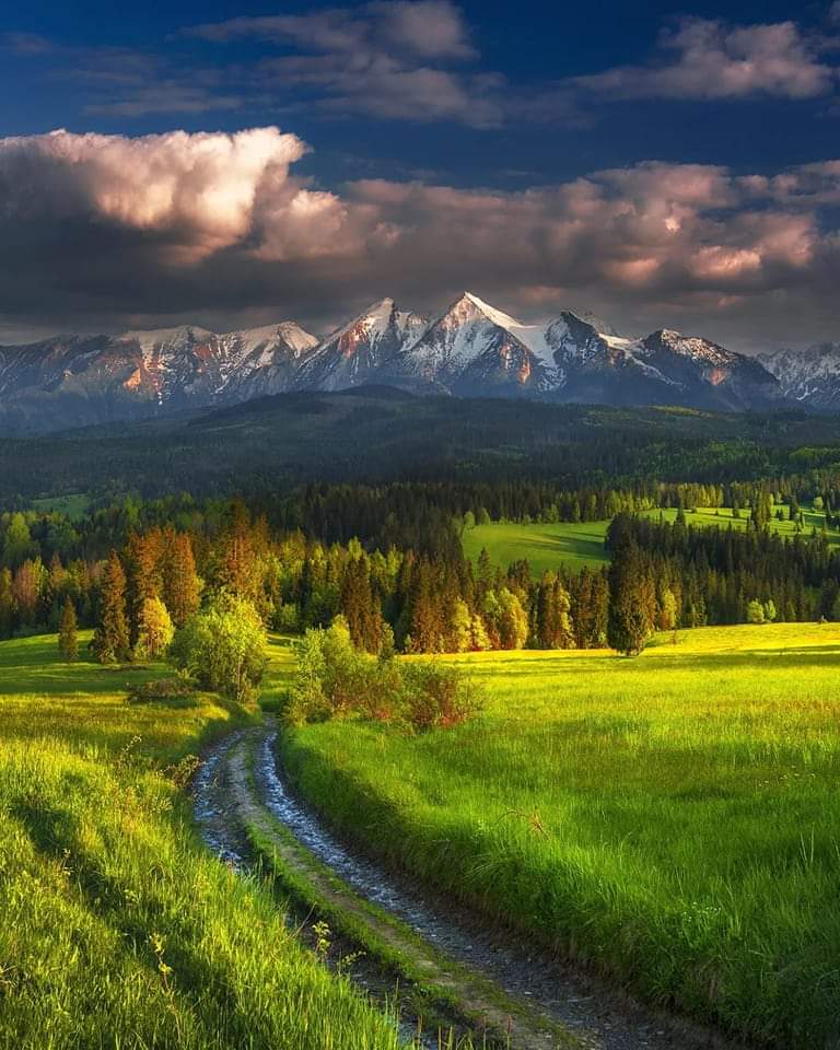 Ist es nicht schön??  Wenn du dem Tod nahe bist, wirst du erkennen, dass du nie weißt, wie schön die Welt ist. 🥰