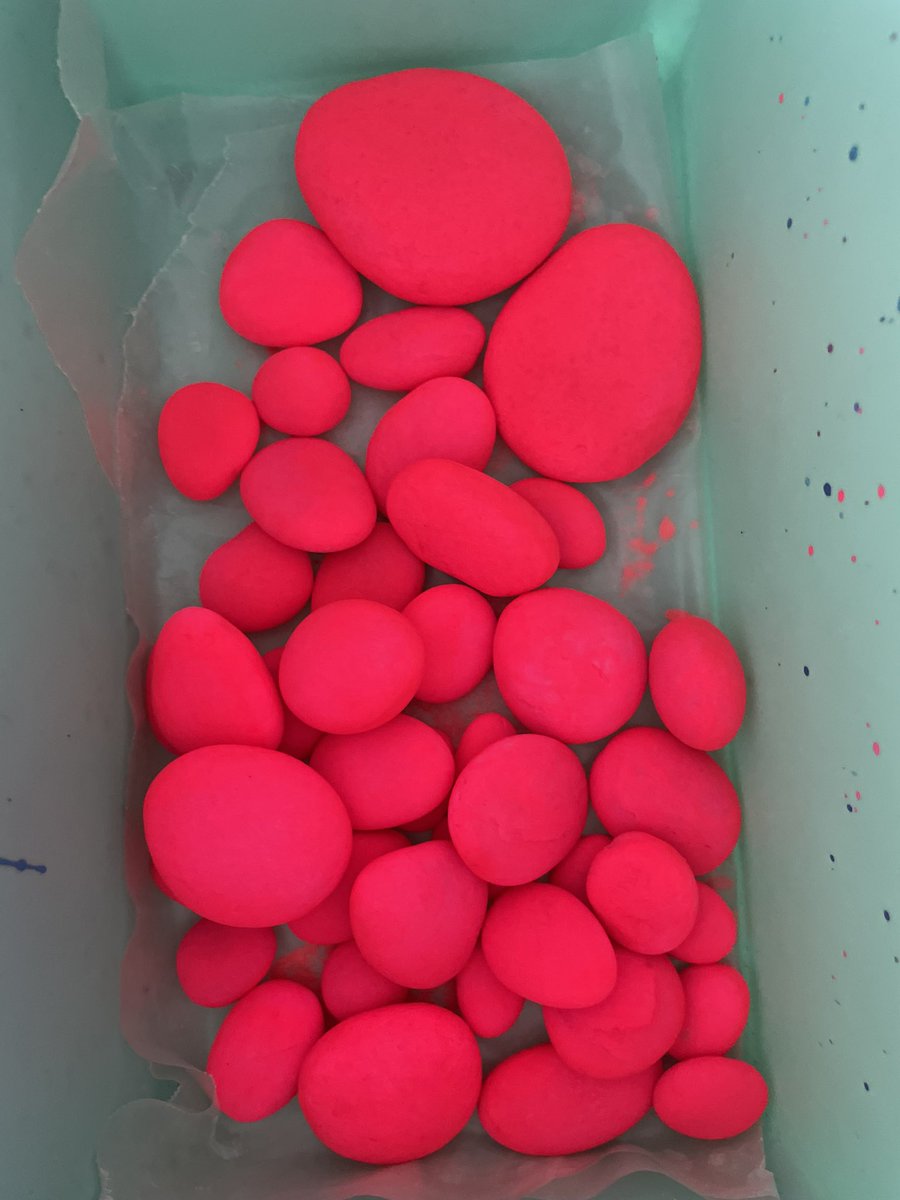 GrantHaffner's tweet photo. #pinkrocks https://t.co/K9zuohIsV7