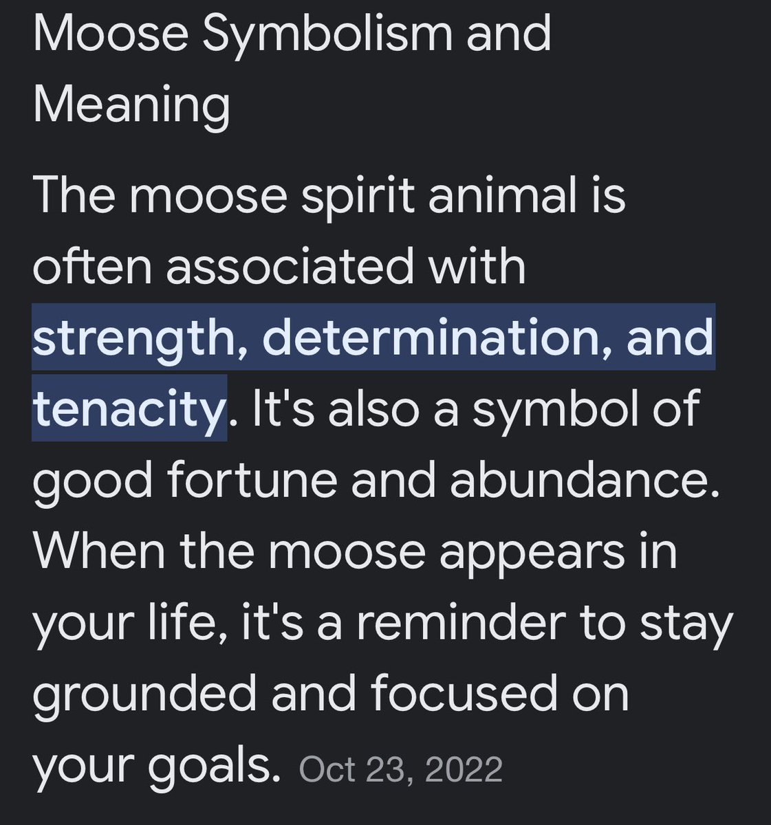 I saw a moose across from my family farm, while I was driving to school this morning.  While it is not uncommon to see moose in our area, I’m choosing to take its appearance during *this particular week* as an important sign from the universe. ✨ 🦌#bigmooseenergy