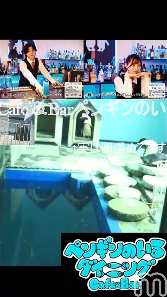 sourarindyna's tweet photo. 『シェア枠No.１』- ペンギンのいるダイニング🍸店長🐧さんのMixChannel LIVEに参加しよう！ #ミクチャLIVE https://t.co/XdQuFonXDK https://t.co/iu7LqZBBW9
