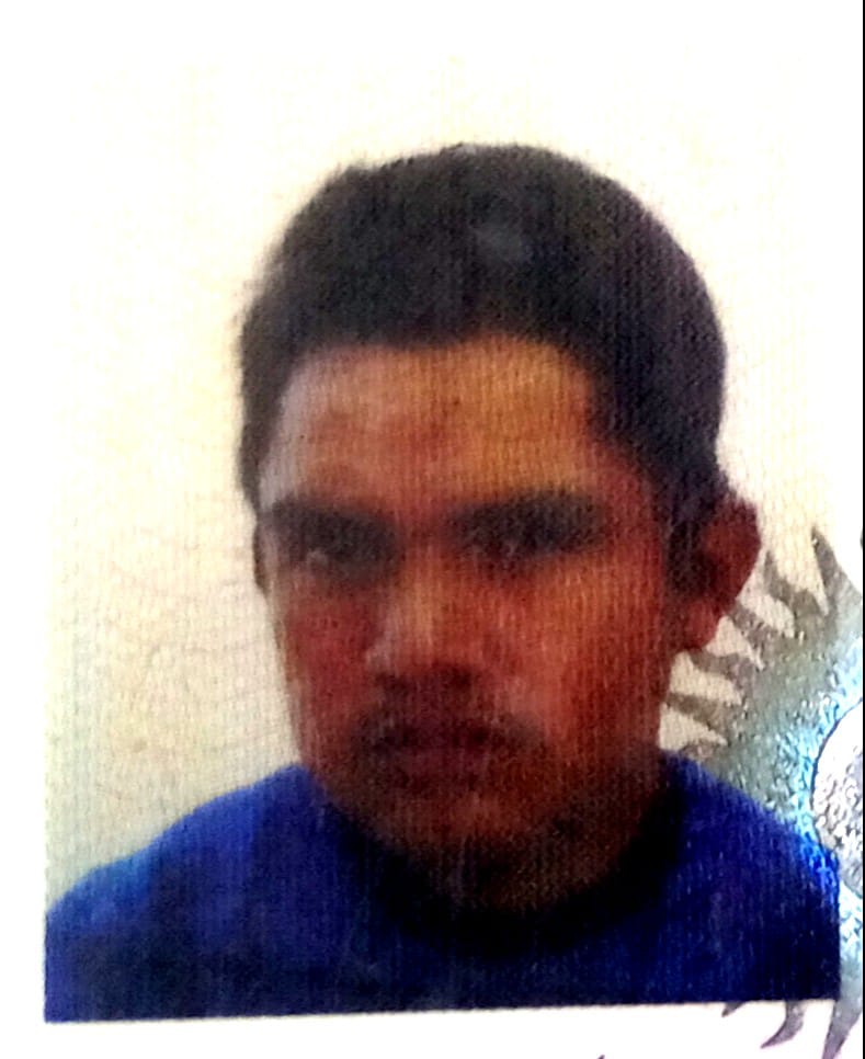 Revista Cítrica tweet media