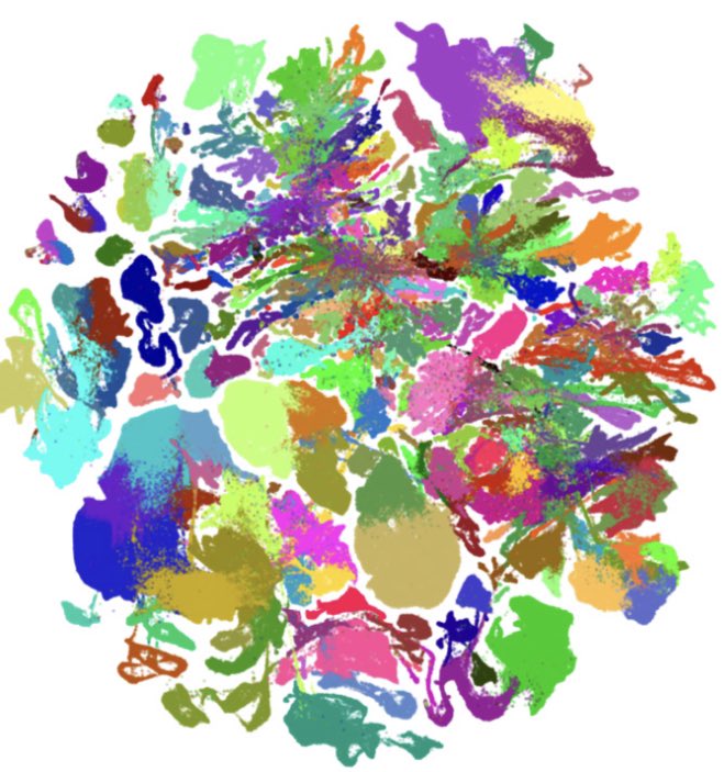 Anirban Maitra (@aiims1742) on Twitter photo Jackson Pollock or spatial profiling?
A high-resolution transcriptomic and spatial atlas of cell types in the whole mouse brain
biorxiv.org/content/10.110…
Preprint <a href="/AllenInstitute/">Allen Institute</a> of whole mouse brain atlas, comprised of >11 million single cells profiled with scRNA seq & MERFISH 🤯 Jackson Pollock or spatial profiling?
A high-resolution transcriptomic and spatial atlas of cell types in the whole mouse brain
biorxiv.org/content/10.110…
Preprint <a href="/AllenInstitute/">Allen Institute</a> of whole mouse brain atlas, comprised of >11 million single cells profiled with scRNA seq & MERFISH 🤯