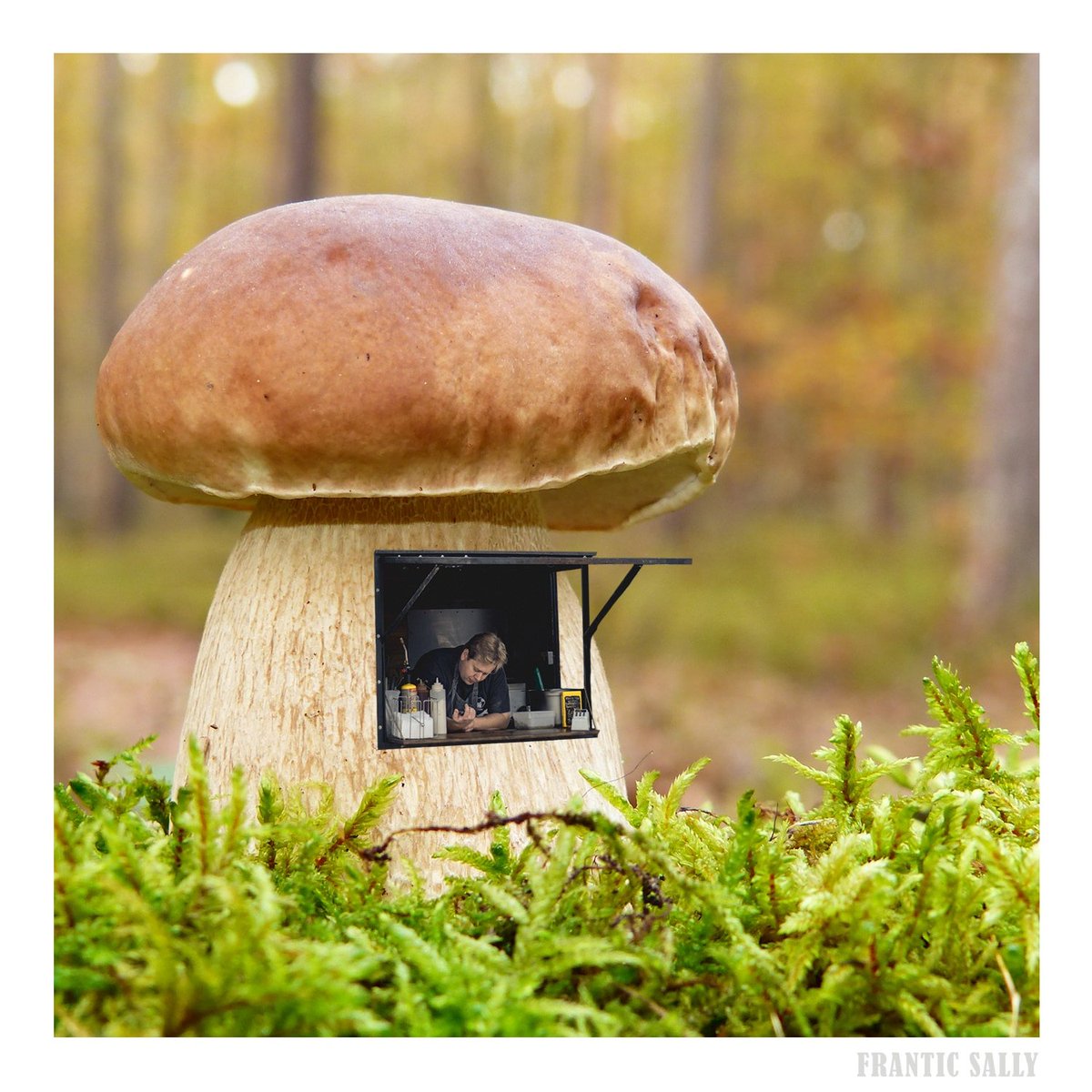 Frantic Sally (@franticsally) on Twitter photo Fun fact. More than 350 million years ago, when all land plants were only a few feet high, towering mushrooms 24 ft (7.3 m) tall and 3 ft (90 cm) wide dotted the landscape. 🍄
#TheMoreYouKnow #funfacts #irishart #sligo #mushrooms Fun fact. More than 350 million years ago, when all land plants were only a few feet high, towering mushrooms 24 ft (7.3 m) tall and 3 ft (90 cm) wide dotted the landscape. 🍄
#TheMoreYouKnow #funfacts #irishart #sligo #mushrooms