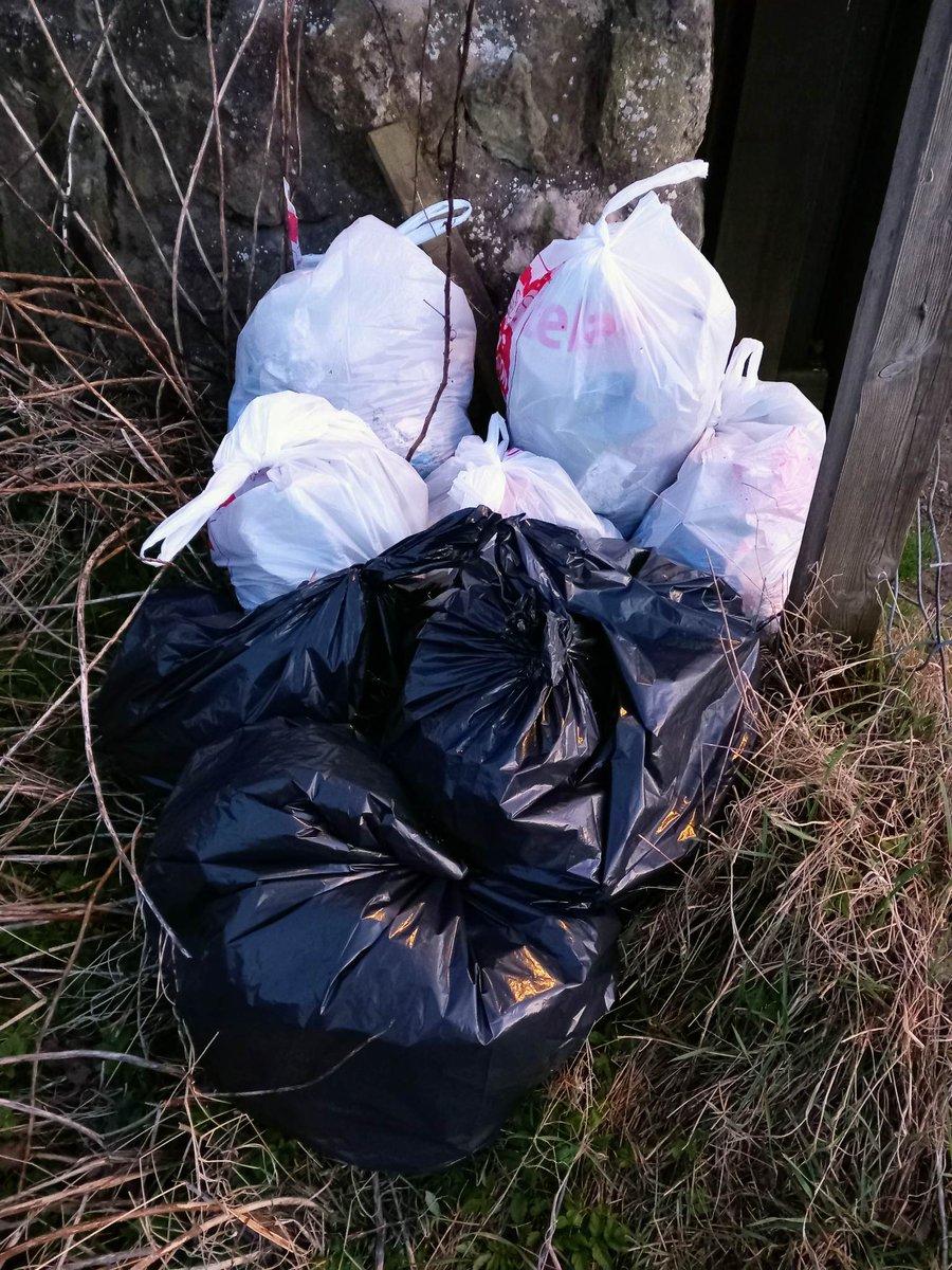 CoopSandra's tweet image. We collected TEN bags of rubbish!! We&apos;ll be back to collect more when it isn&apos;t quite so bitterly cold... ❄️
@gg_tay_ochils @clacksscouts
#ChooseTheWorldYouWant
#ChooseFairtrade @coopuk
#LocalCauses #LocalCommunity
#ItsWhatWeDo
@derek_coop @Tom_MPM