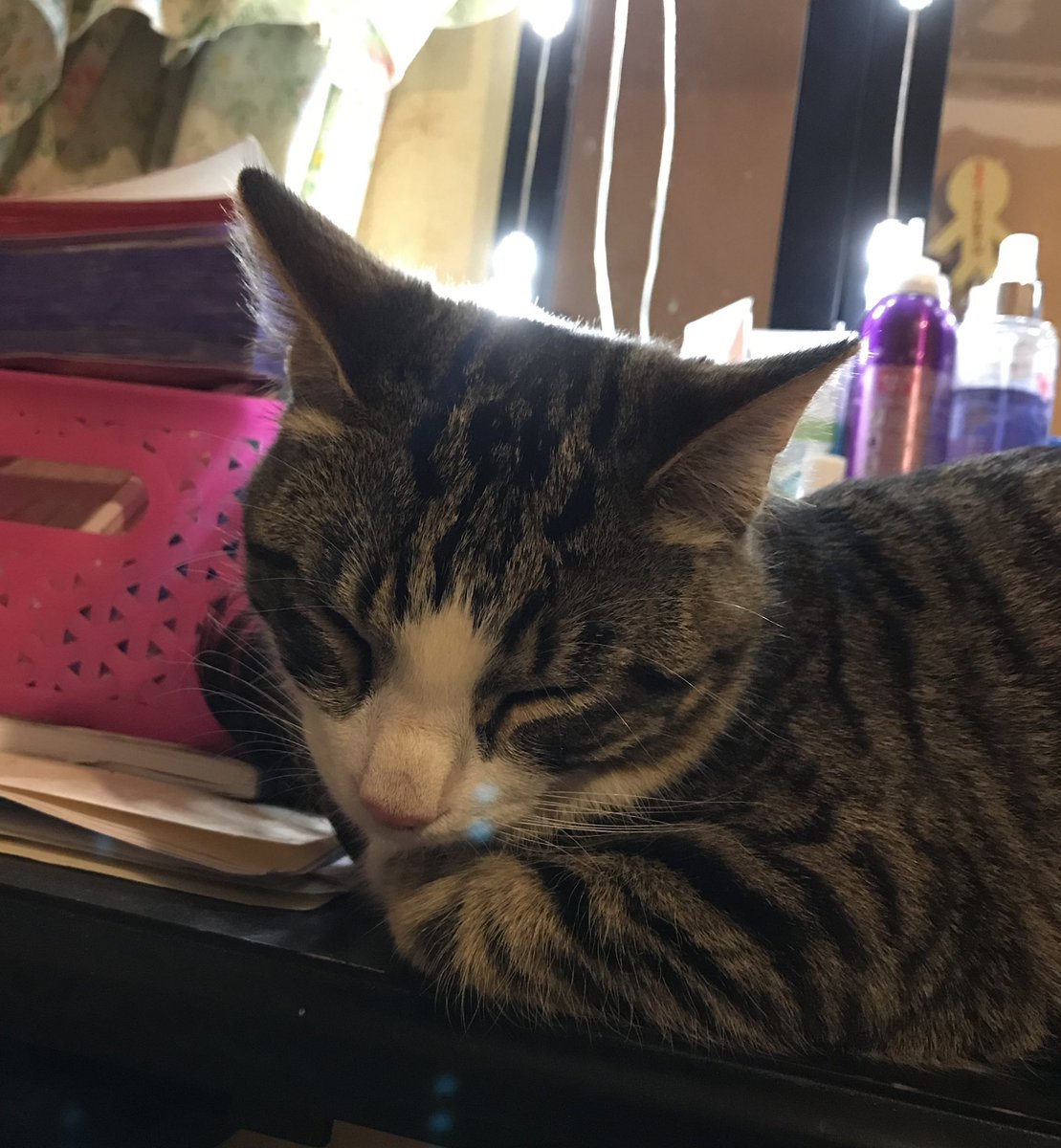 Pimentel8Andrea's tweet photo. La gurru esperando #JesusEnUNIFE26 ❤️ https://t.co/7fAUjbTDmn