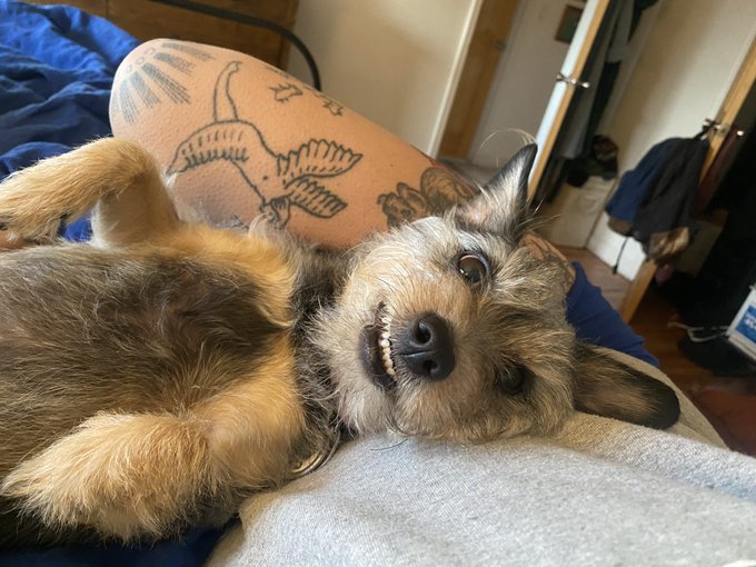 it cracks me up when she smiles with teeth lmao https://t.co/3WddLr9C0j