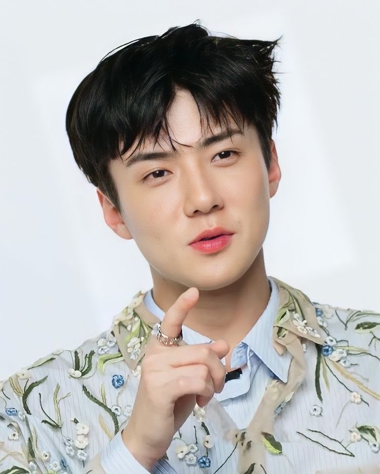 sehunloop's tweet image. 