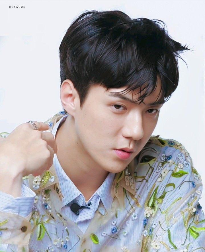 sehunloop's tweet image. 