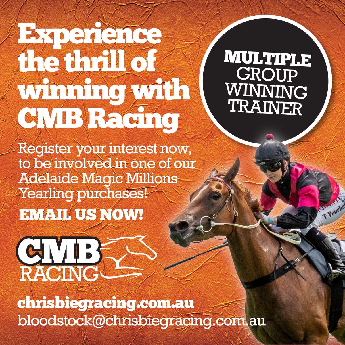 RacingCmb's tweet photo. REGISTER YOUR INTEREST TODAY

Experience the thrill of winning with a MULTIPLE GROUP WINNING TRAINER 

Be involved in one of our Adelaide Magic Millions Yearling purchases next week - Tuesday March 14 

It might just be the next DUBENENKO 🏇🧡🖤

@ChrisBieg @mmsnippets @RacingSA https://t.co/ZJ2zp5L0bu