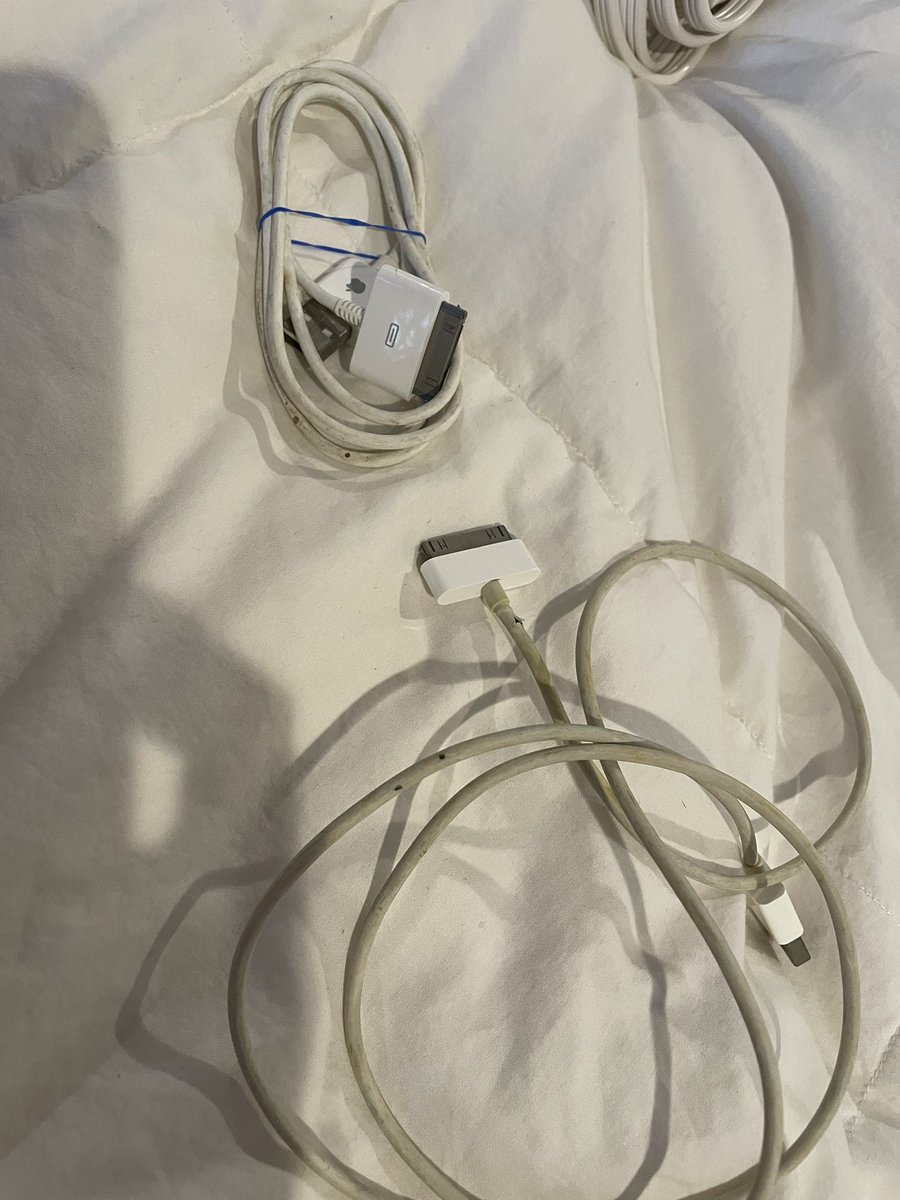 Martina Bex tweet media