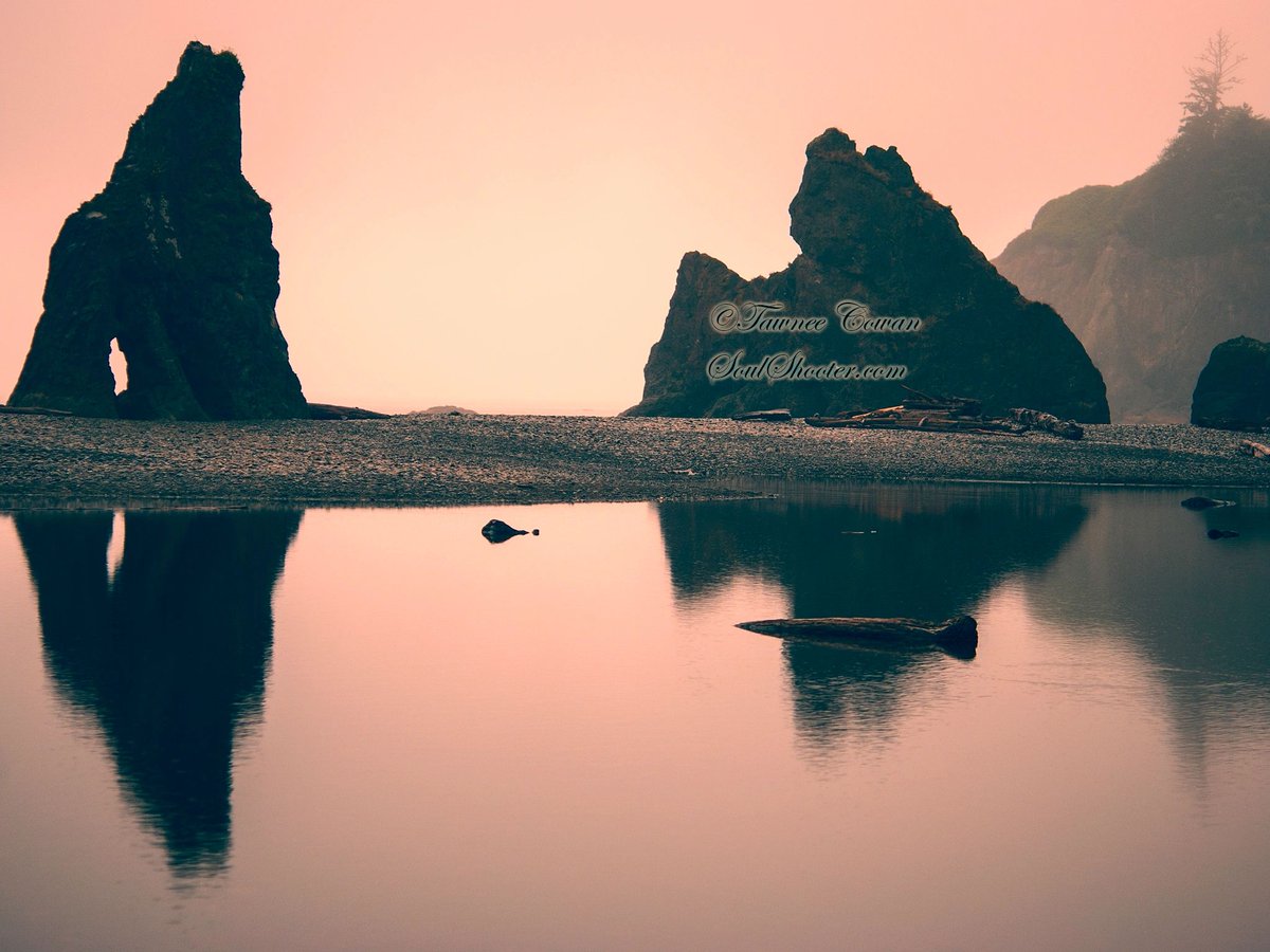 SoulShooterArt's tweet photo. https://t.co/380he8eGch
#photography #fineart #art #nature #naturephotography #ocean #beach #red #soul #rocks #pacificnorthwest #pnw #RubyBeach #reflection #water https://t.co/zCpCA7ZZW8