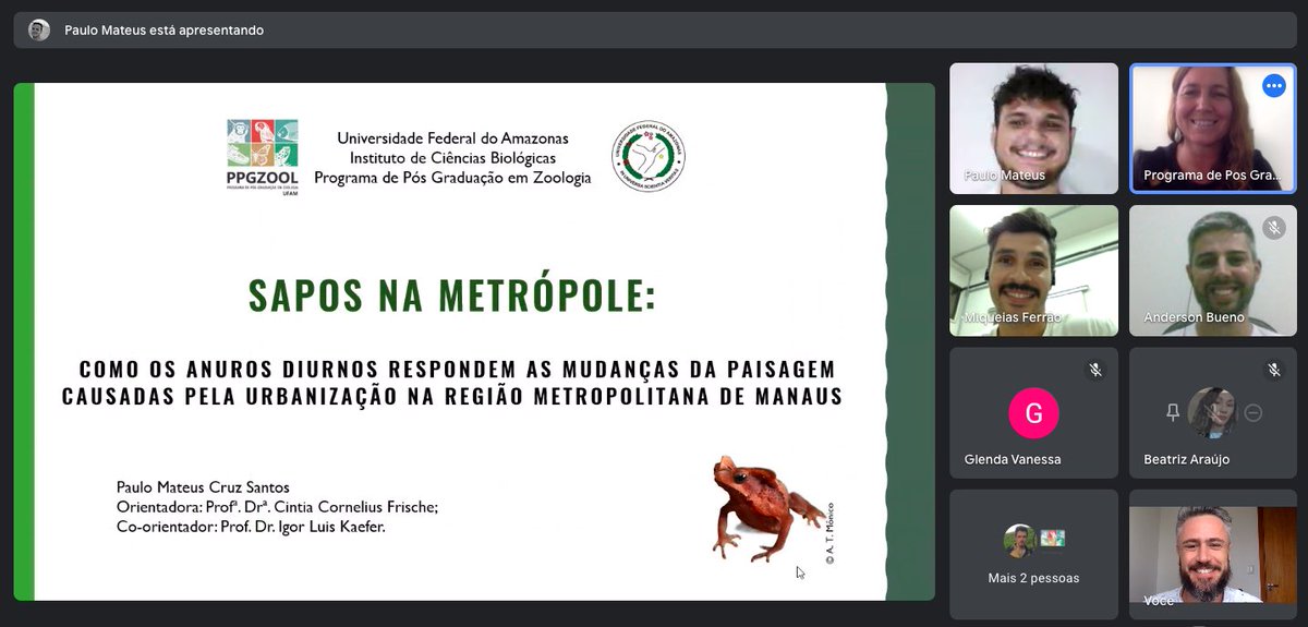 KaeferLab's tweet photo. Congrats, @paulomateuscss!!! Master’s in Zoology studying metropolitan frogs in the midst of the Amazon 🌳🌱🐸🏘🏢 https://t.co/0SuRXMMvJq