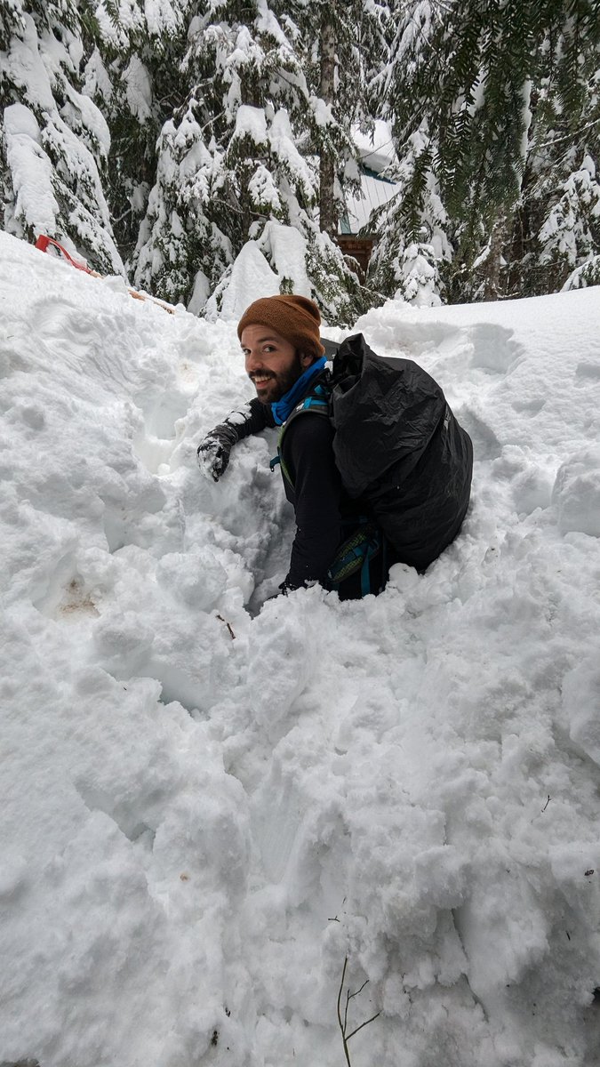 Old Man Winter returned this past week with a vengeance - over a meter of fresh snowfall at our Cypress Mountain site where #yellowcedardecline research is taking place! #michaletzlab #winterecology #UBCbotany