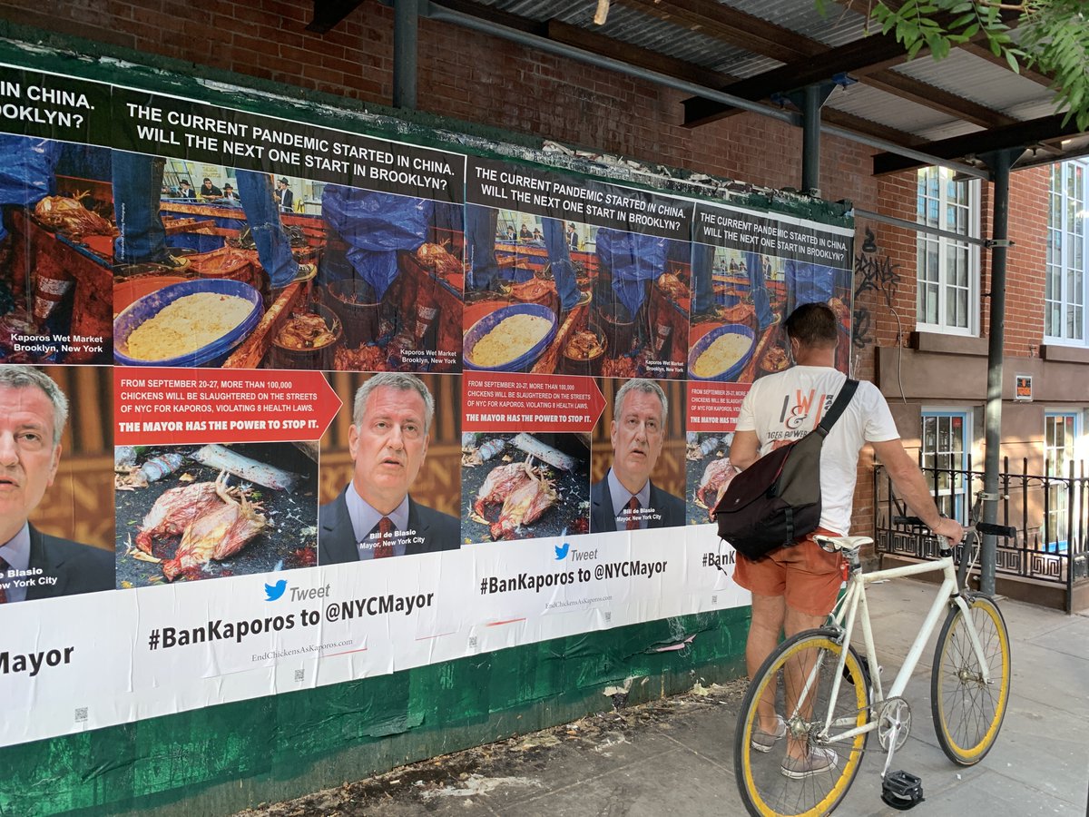 theirturn's tweet photo. Public health and animal rights advocates have been sounding the alarm about the #avianflu risks posed by #Kaporos for the past 10 years, but health officials have prioritized politics ahead of public health. #votingbloc cc: @SherylNYT @EmilyAnthes @nytopinion @elizashapiro https://t.co/AuVWsj63HA