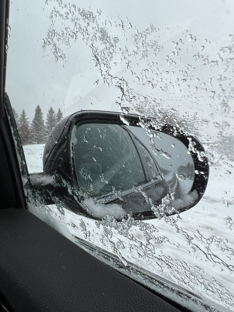 kellyostanford's tweet image. Today’s photo challenge is “reflection”. I looked for water but alas it’s all frozen and not very reflective 🤷‍♀️ ❄️ 

#frmsaycheese  #fatratmafia #dailytopic  @fatratmafia @pixelencija @matlack @FatElrato23