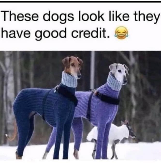 Long Island Improv (@longislandimpro) on Twitter photo 