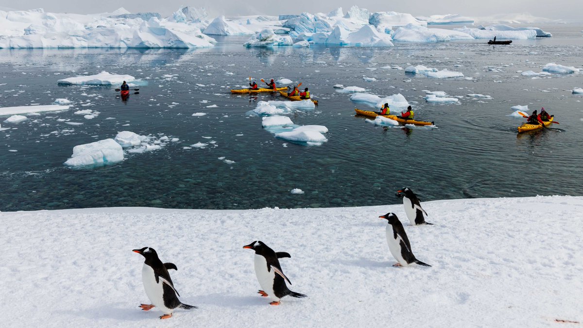 Meanwhile, in Antarctica...