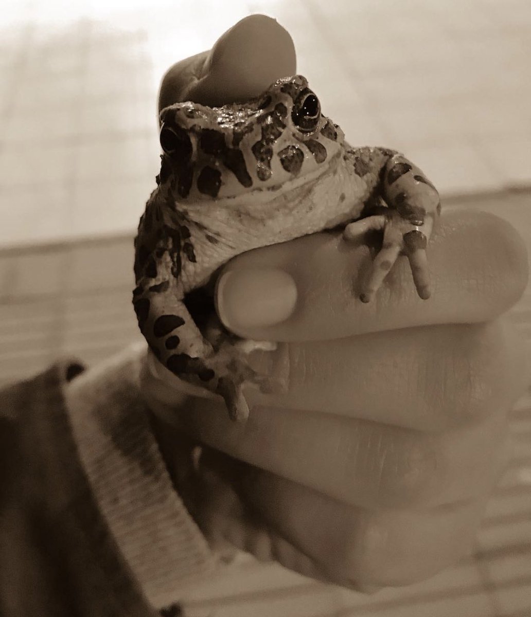 Dila Sancaktar✨🧚🏻‍♀️✨ tweet media