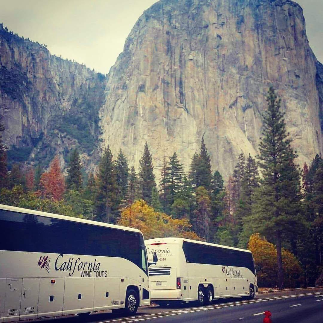 CalWineTours's tweet photo. If you are looking for a trip to San Francisco or Muir Woods or Yosemite, California Wine Tours and Transportation can take you there in style with our professional staff and tour guides.  
Call now 707.253.1300 https://t.co/bnbdkk9rnH