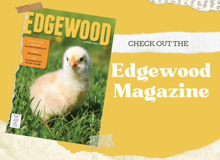 CityofEdgewood's tweet photo. The spring issue of the Edgewood Magazine is out now! Don't receive it in your mailbox? 
Not to worry you can view the online version here https://t.co/DsLHYaJ4oG https://t.co/kfuABfIBaR