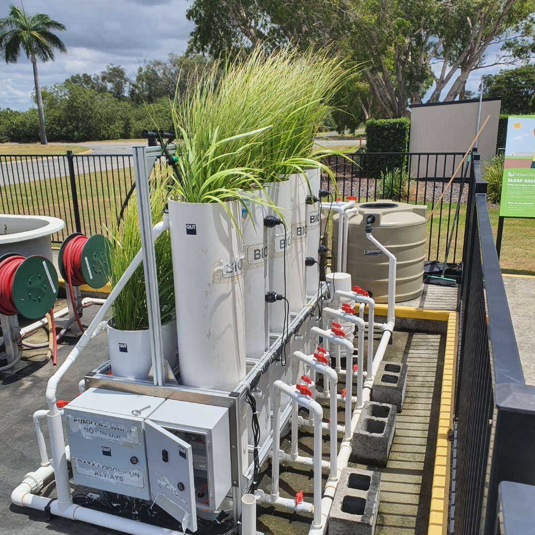 QUT's tweet image. #QUT is seeking a Research Fellow in #WaterMicrobiology. 
Apply if you are motivated with a strong desire for learning and growth to support research in the areas of next generation sequencing and health related water microbiology. fal.cn/3wmzY #QUTEngineering