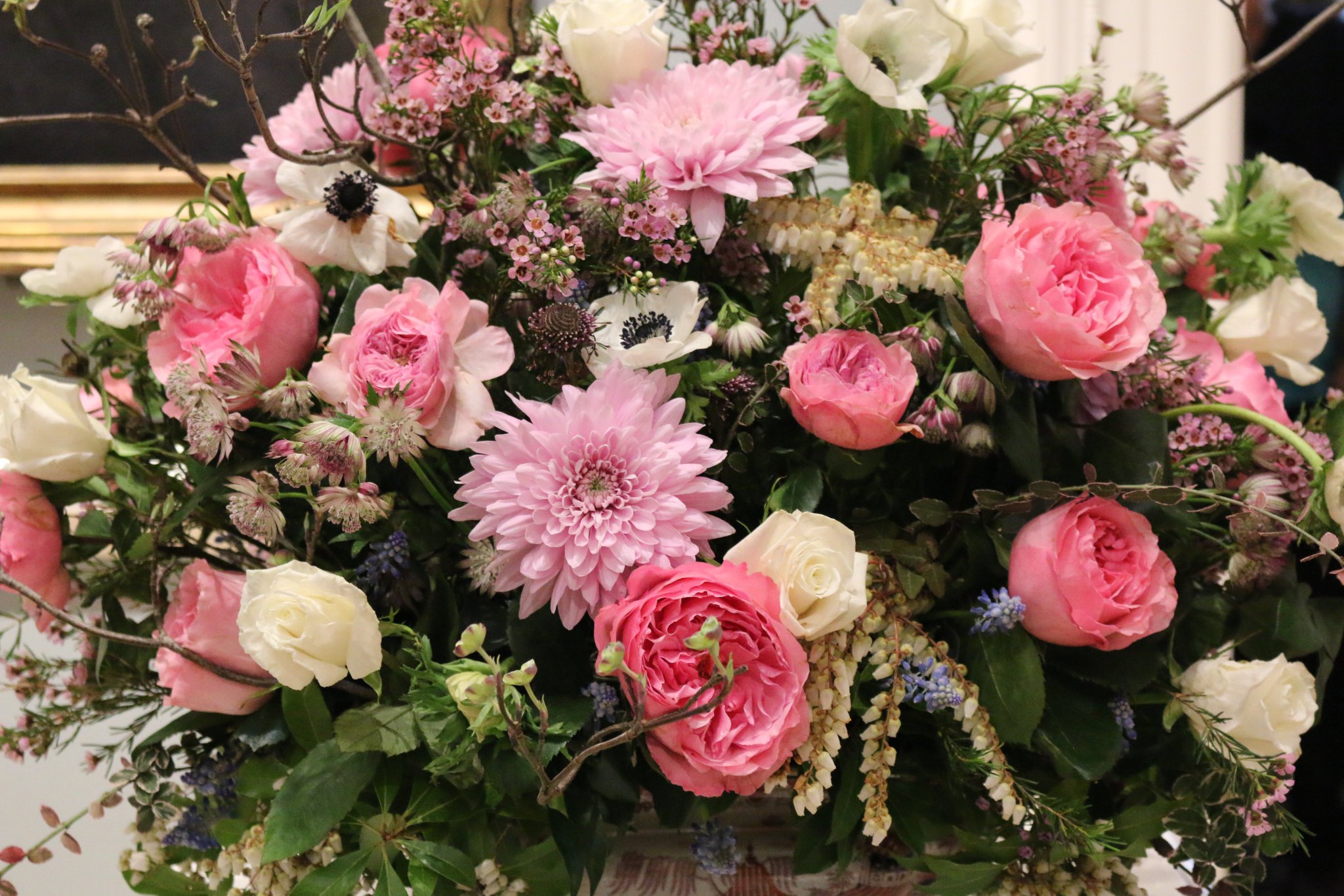 springfield-museums-on-twitter-the-10th-annual-festival-of-flowers-is