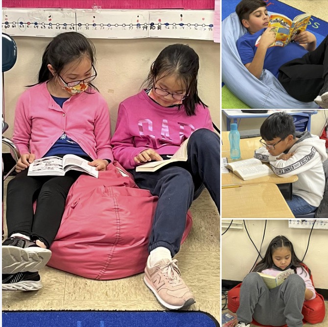 Our students love to read! 📖