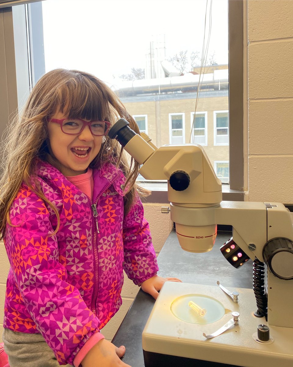 Oh YEAH! We collected a cool ant! 🐜🥰
#nickyformiguinha❤🐜 #ProudMom
#stemgirls #WomenInScience #RamalhoLab #WCU