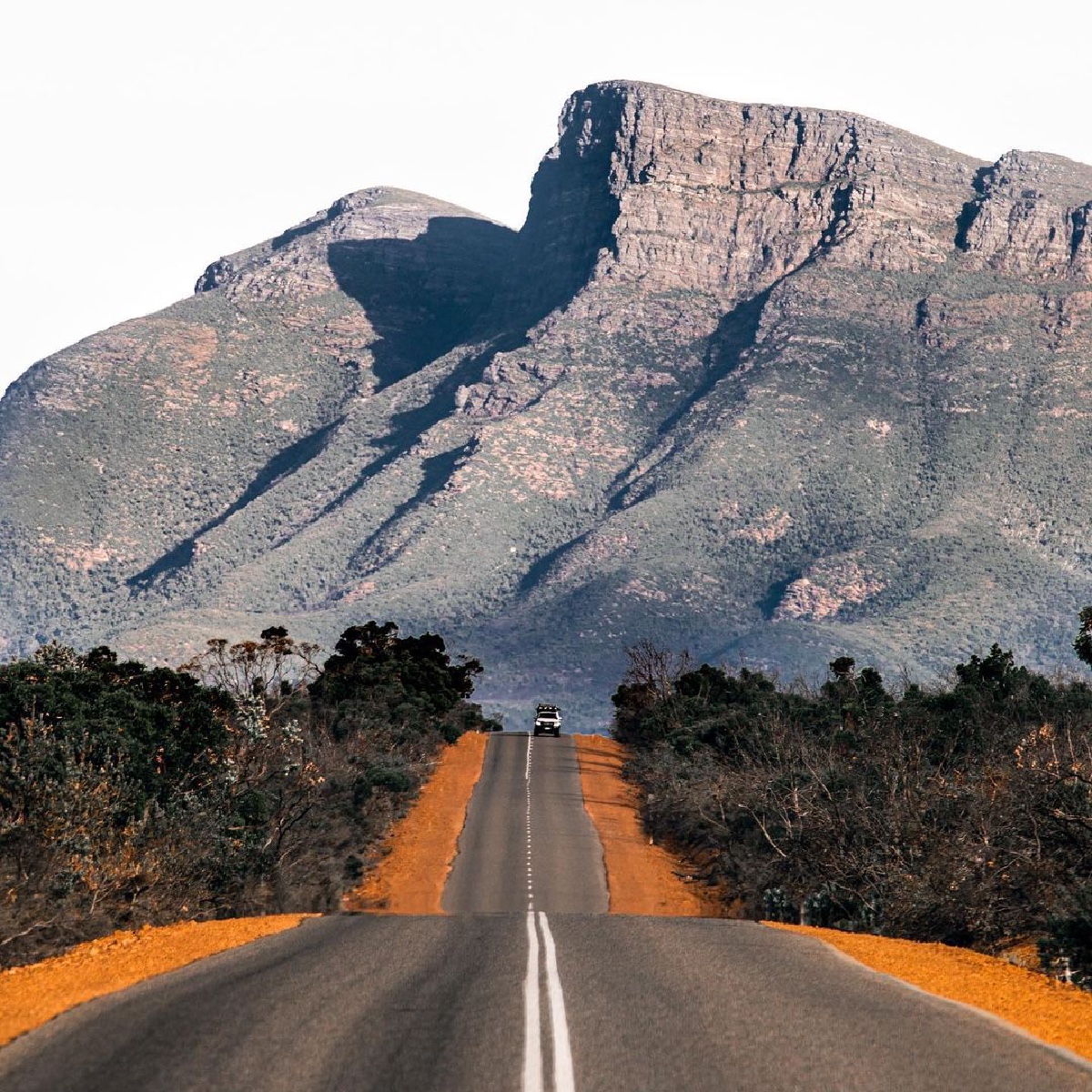 All roads lead to #adventure, 
especially in #WestAustralia. 
Kudos to @boyandgirl.photography
who captured the highest peak in the
#StirlingRangeNationalPark, #BluffKnoll
in #allitsglory on a recent #roadtrip. 
#seeaustralia