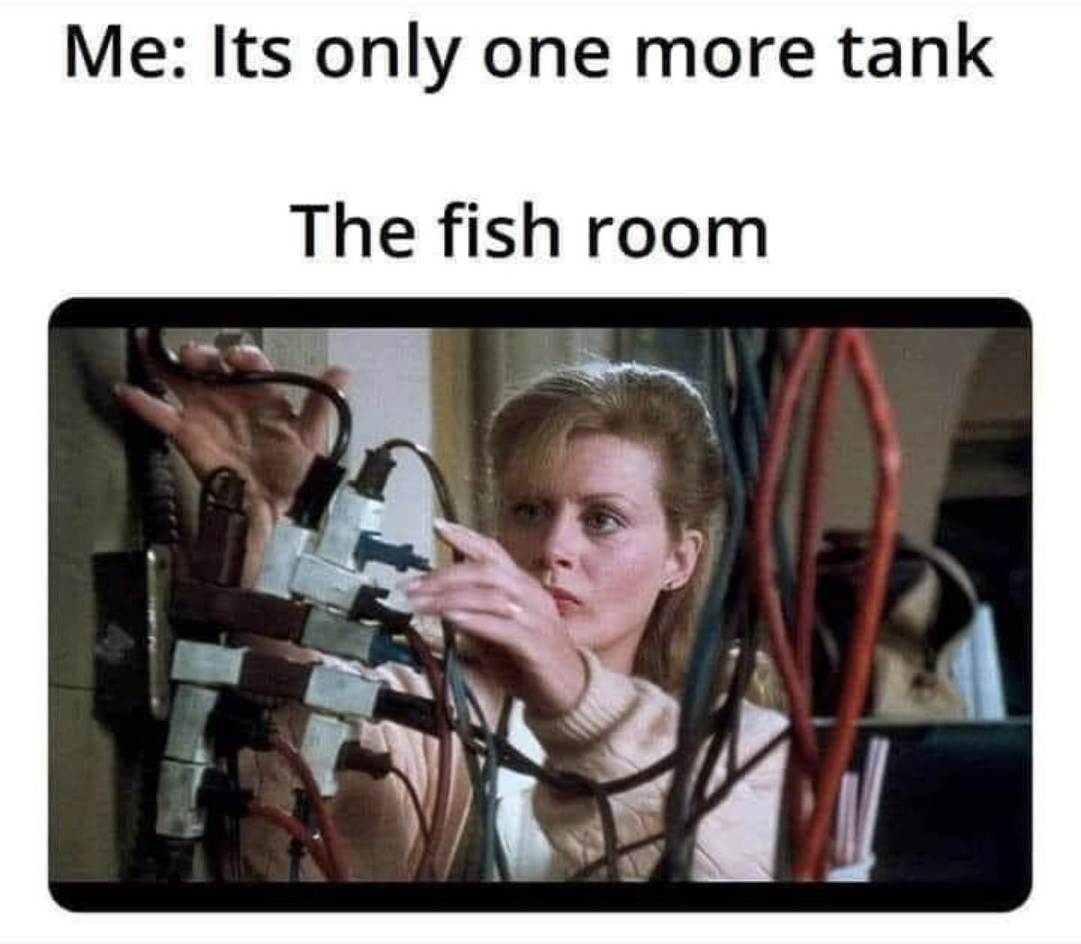 aquariumfever's tweet photo. 😂 https://t.co/plgwBd5SN1