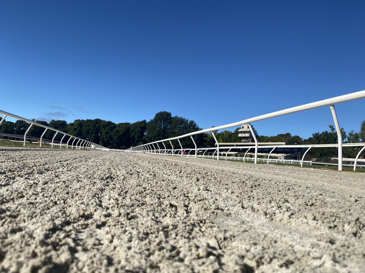 sports_design_'s tweet photo. The @KynetonHRock Racecourse Sand Track was officially opened to horses training on it last week. The track needed a full reconstruction due to the devastating floods in October 2022. https://t.co/Xl8kltOxeT