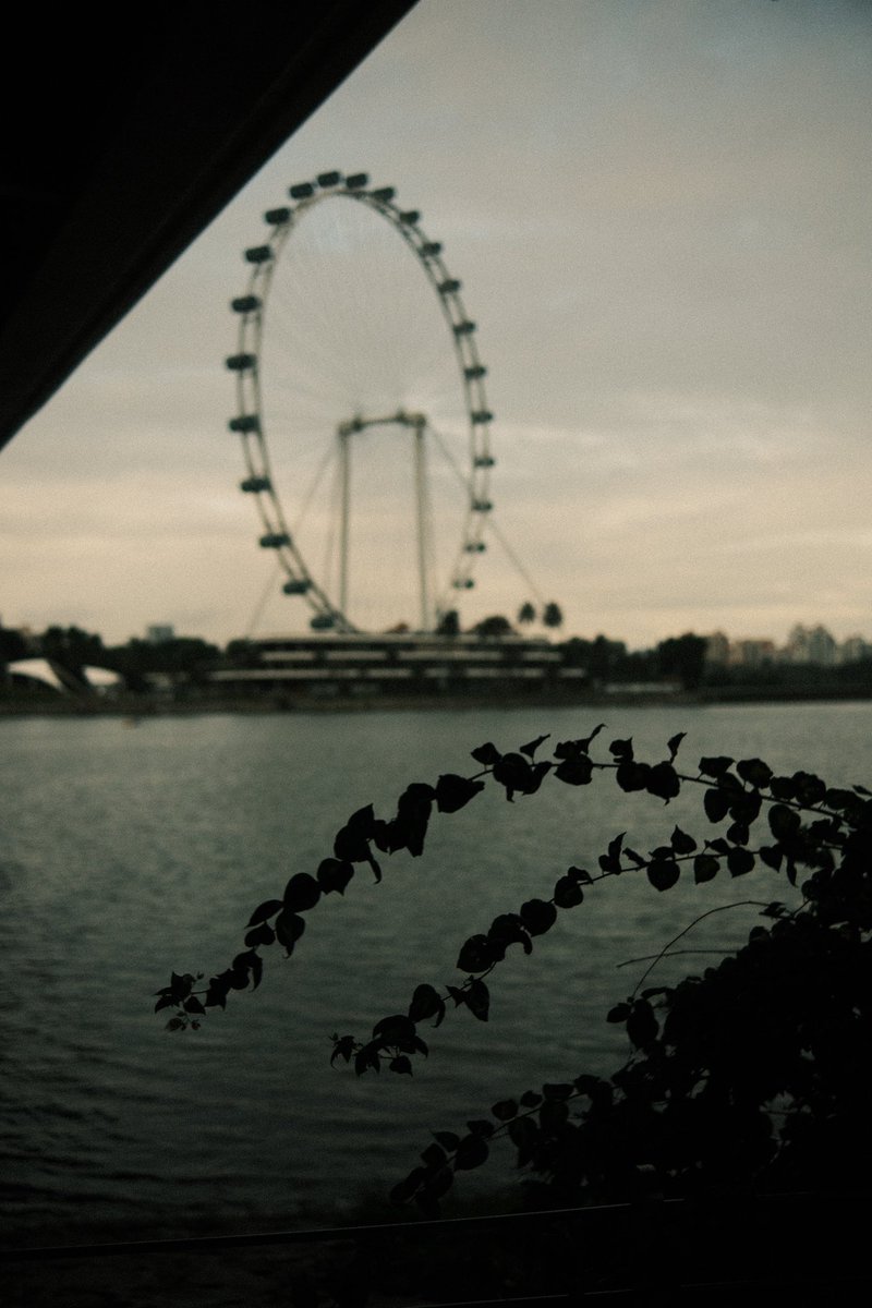 calvinlienardy's tweet photo. 🇸🇬🎞️ https://t.co/mj7UtGtnhP