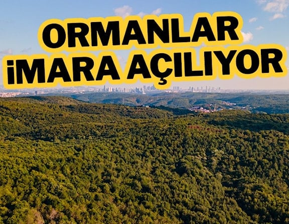 gazetesozcu's tweet photo. AKP, İstanbul’un akciğeri olan ormanlar başta olmak üzere yapılaşma izni verilmeyen tüm özel ormanların imara açılması için yasa teklifi sundu
https://t.co/08BtyaF1OV https://t.co/iTHUMr0pTN