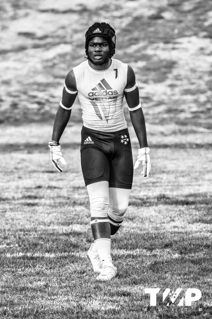 TMP ELITE tweet media