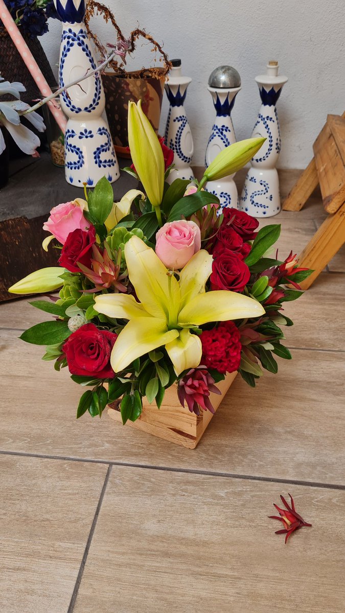 FlowerS1sters's tweet photo. Flower gifts in a wooden box.
Contact Alison 0825465779 to order.
We deliver in Cape Town and surrounds.
#gifts #giftsforher #flowers #flowerarrangements
#capetown #capetownflowers
#florist #flowersellers
#sistersonadderley 
#flowertweets
#freshflowers
#capetownflorist https://t.co/nEOMHKZxCR