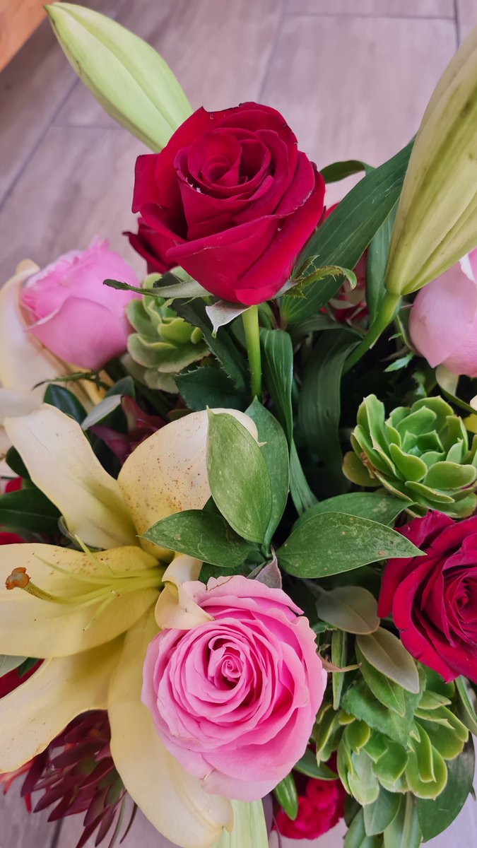 FlowerS1sters's tweet photo. Flower gifts in a wooden box.
Contact Alison 0825465779 to order.
We deliver in Cape Town and surrounds.
#gifts #giftsforher #flowers #flowerarrangements
#capetown #capetownflowers
#florist #flowersellers
#sistersonadderley 
#flowertweets
#freshflowers
#capetownflorist https://t.co/nEOMHKZxCR
