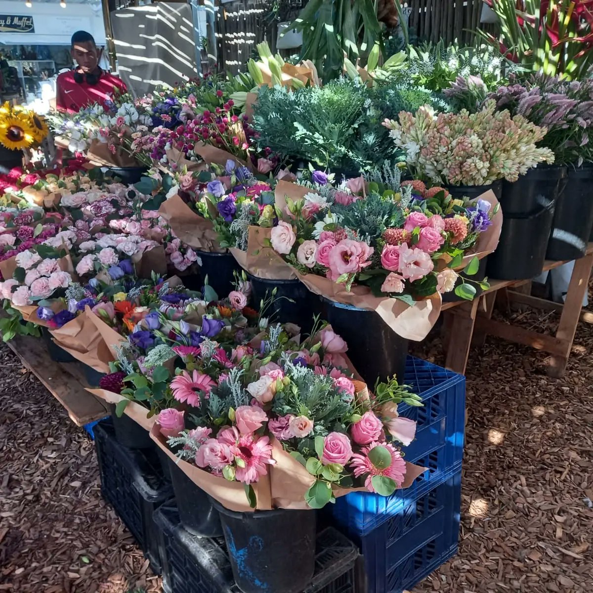 FlowerS1sters's tweet photo. Have you visited our Market stall @OZCFarm 
We have the freshest flowers and arrangements available every weekend.
Remember to whatsapp Alison 0825465779 to place your order for delivery.

#oranjezichtmarket
#capetownmarkets
#flowers #ozcfm #sistersonadderley
#capetown https://t.co/T1msUWONhM