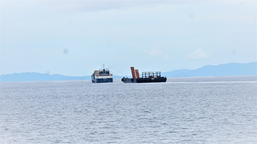 Another virgin forest will be logged as the logging industry runs a rampage in the Solomon Islands. #tugboatheadingwest