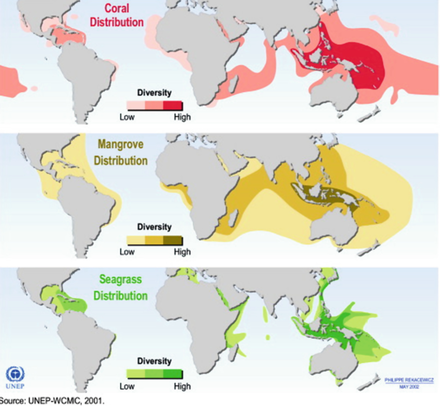 There are several countries that have made significant efforts to restore their marine environments. 

🌊🐠🐳 #MarineEcosystem 

@andersen_inger  
@UN
@IUCN
 #BBNJ 
#positivenews
#PositiveVibes