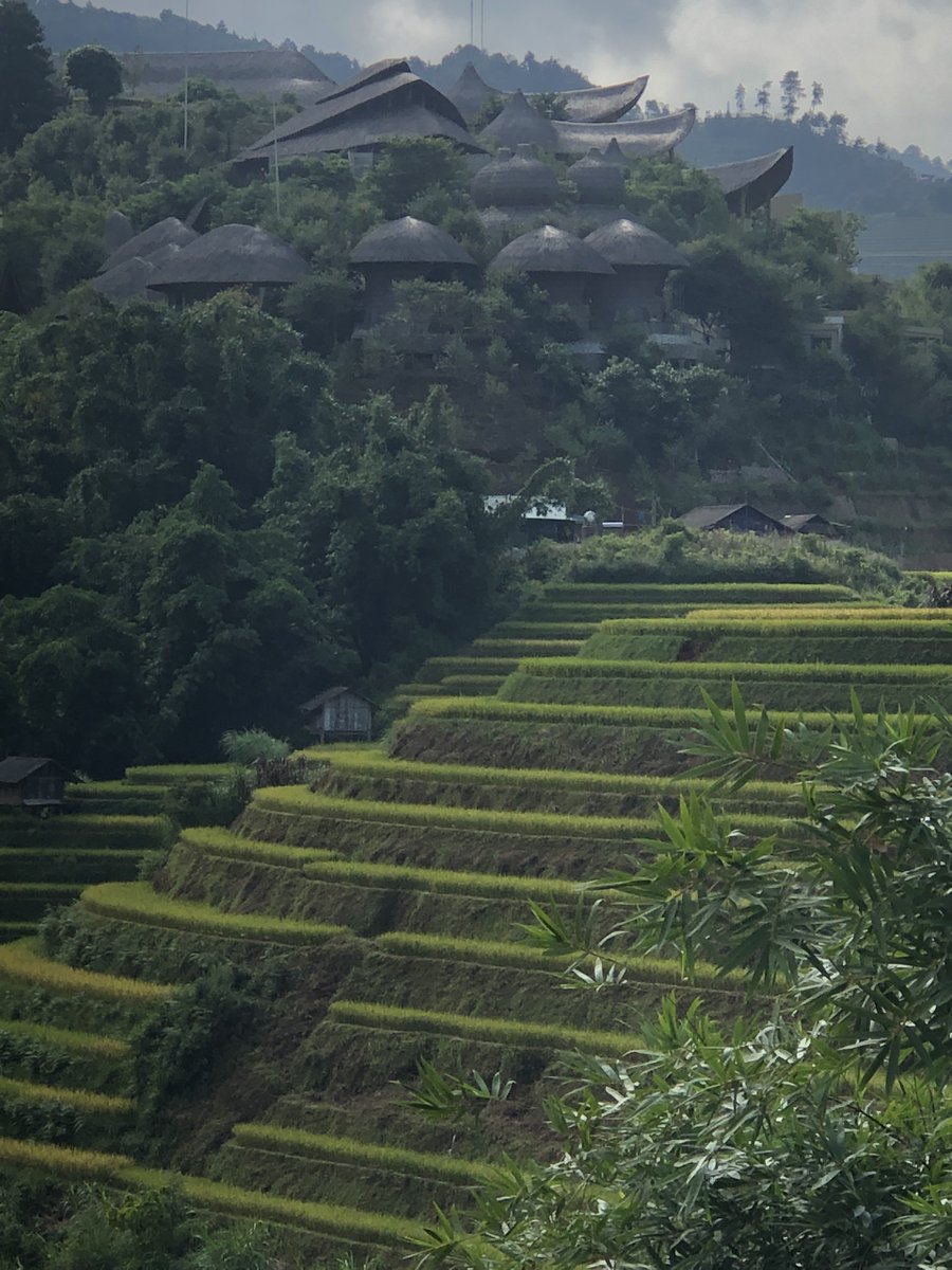 NinhBinhTourist's tweet image. Do the Ha Giang loop in Vietnam, safe by comfortable car with an experienced driver and tour guide. #visitvietnam #hagiangloop #nbtc bit.ly/3iZfoPa
