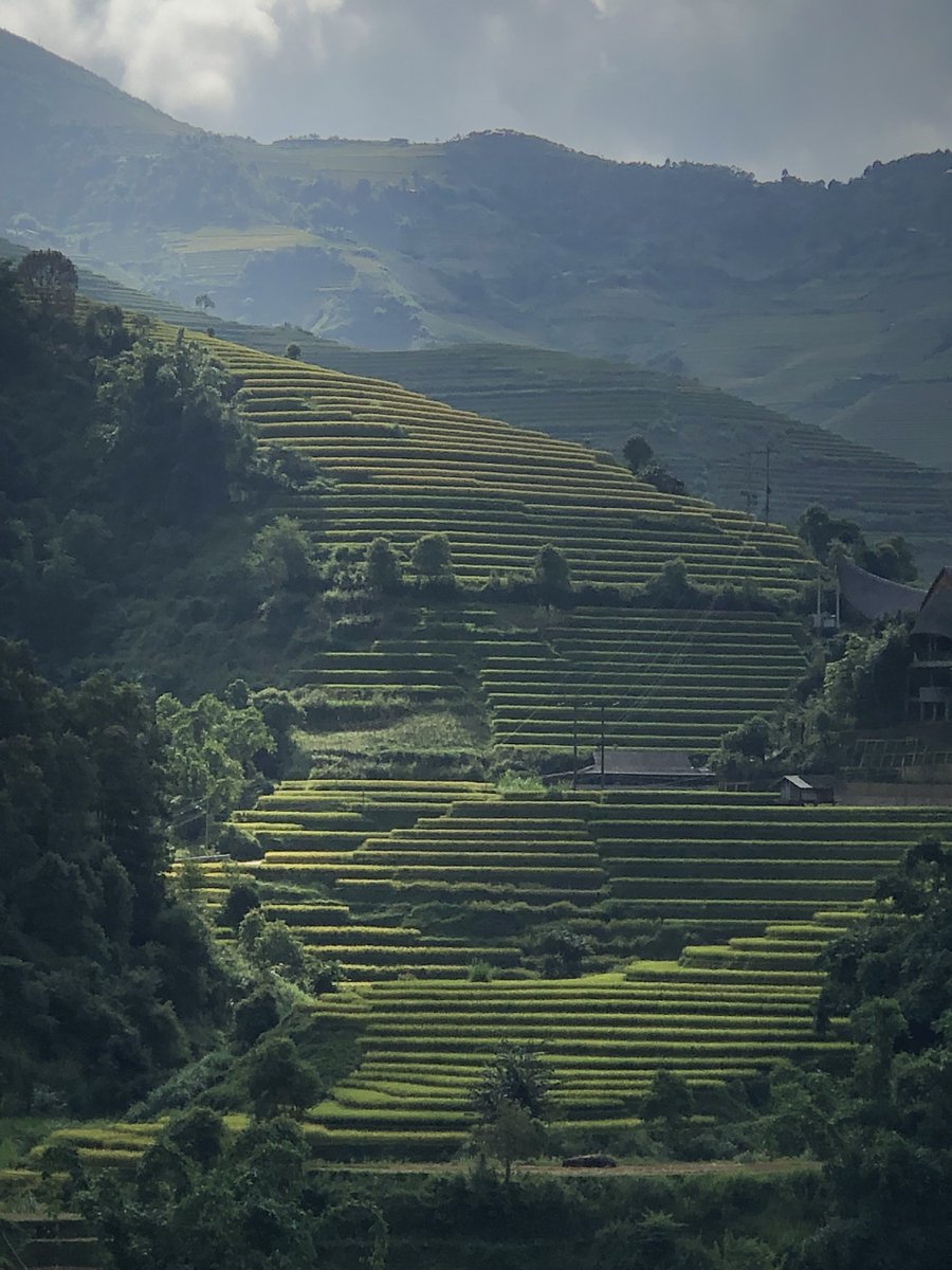 NinhBinhTourist's tweet image. Do the Ha Giang loop in Vietnam, safe by comfortable car with an experienced driver and tour guide. #visitvietnam #hagiangloop #nbtc bit.ly/3iZfoPa