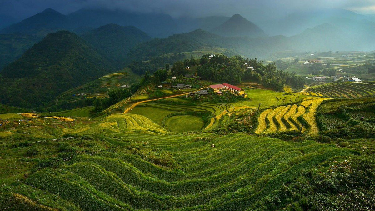 sage_s65739624's tweet photo. Travelers are increasingly interested in visiting #Vietnam. Vietnam still has a lot to offer #Tourists despite not being one of the "must-see" nations in their eyes. #Vietnamese_Culture #10_Vietnam_Facts #Fun_Facts #Facts_About_Vietnam
https://t.co/QMwHZunmZy https://t.co/2aw5T0gOeY